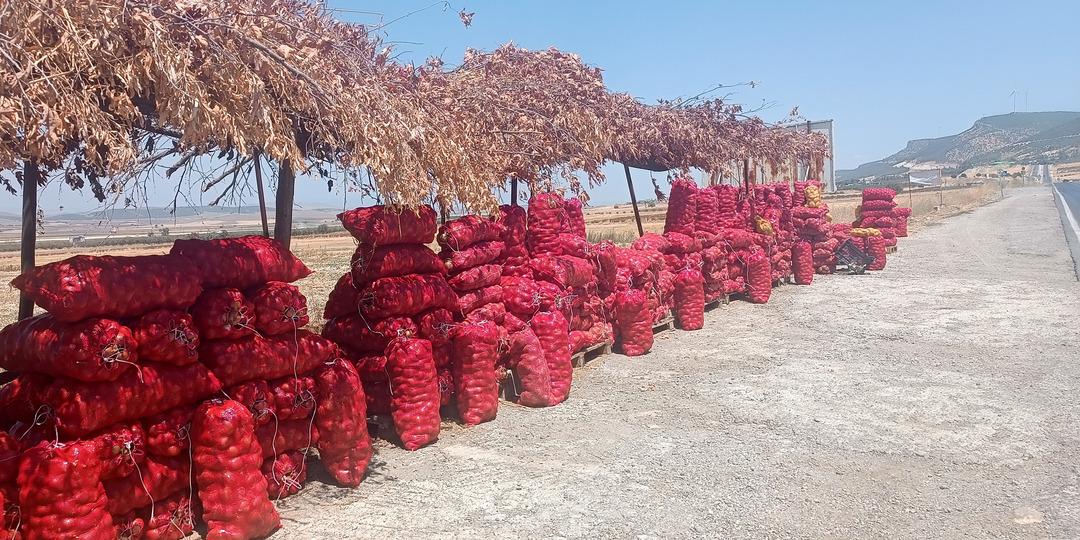 Kilosunu 3 liradan almak istediler çareyi böyle buldu!  Sofraların vazgeçilmezi  En büyük özelliği...  1