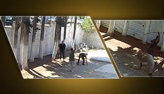 Belediye başkanından 'dayak' skandalı! Sırtında sopa kırdı