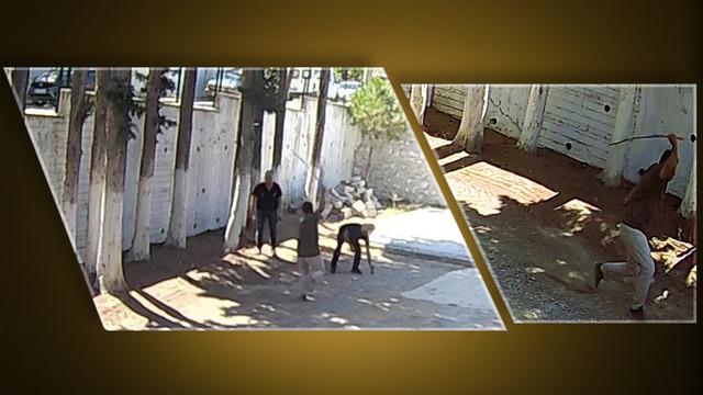 Belediye başkanından 'dayak' skandalı! Zabıtanın sırtında sopa kırdı: Can güvenliğimizden endişeliyiz