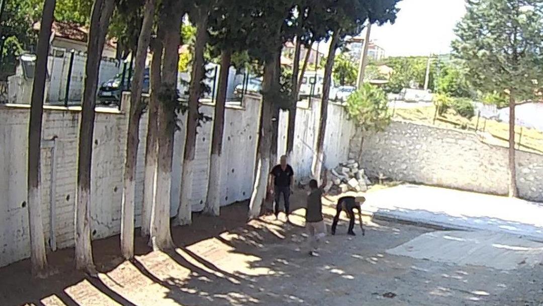 Belediye başkanından dayak skandalı! Zabıtanın sırtında sopa kırdı: "Can güvenliğimizden endişeliyiz" 2