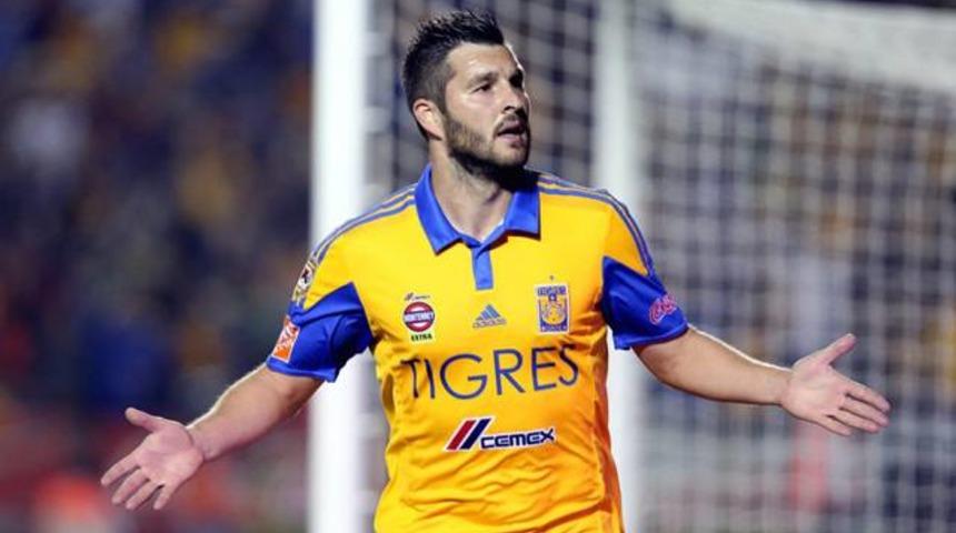 Aykut Kocaman, Gignac'ı istiyor