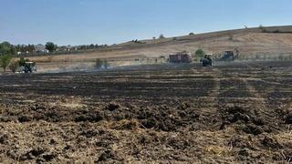 20 dönümlük alan anız yangınında kül oldu