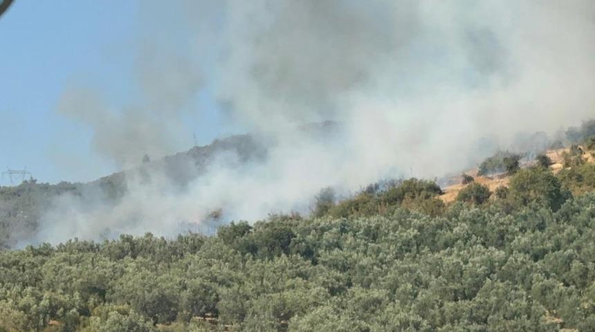 İznik'te orman yangını