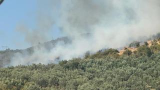İznik'te orman yangını