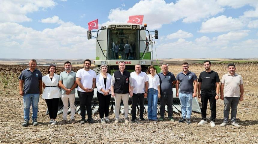 Silivri'de yaklaşık bin 500 dekar alanda ayçiçeği hasadı başladı
