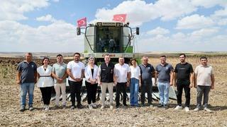 Silivri'de yaklaşık bin 500 dekar alanda ayçiçeği hasadı başladı