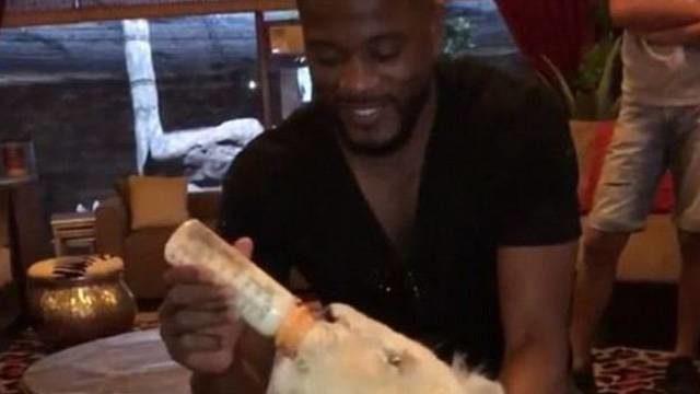 Evra aslanı sütle besledi, sosyal medya yıkıldı!