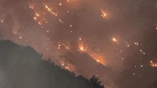Buldan'da başlayan yangın Aydın'ın bazı mahallerine ulaştı