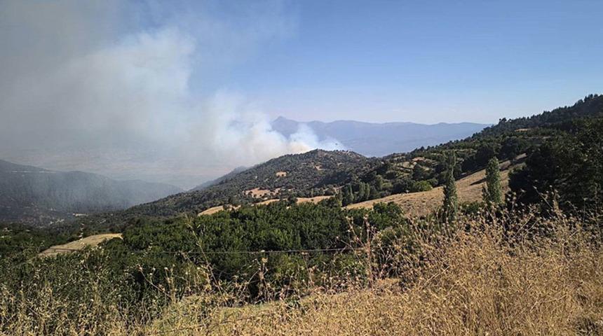 Denizli'de orman yangını: Havadan ve karadan müdahale sürüyor