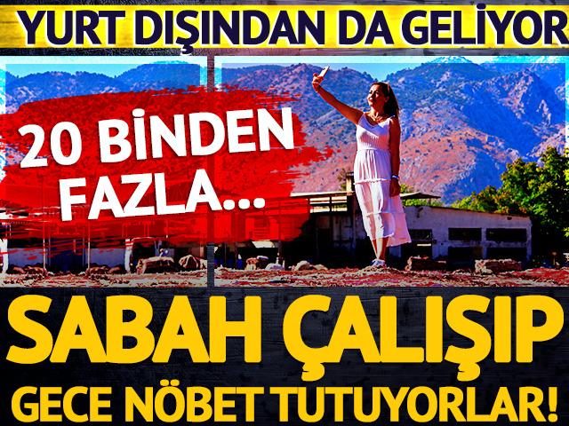 Sabah çalışıp gece nöbet tutuyorlar!