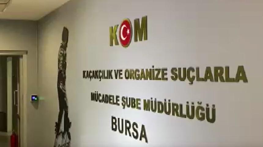 6 ilde suç örgütü 'Golani'ye yönelik operasyon; 11 gözaltı