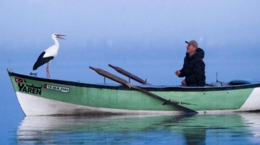 Yaren leylek bu yıl erken göçtü! Duygulandıran veda