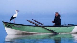 Yaren leylek bu yıl erken göçtü! Duygulandıran veda