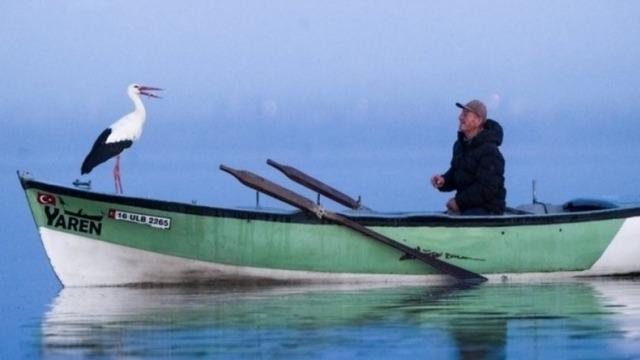 Yaren leylek bu yıl erken göçtü! Duygulandıran veda