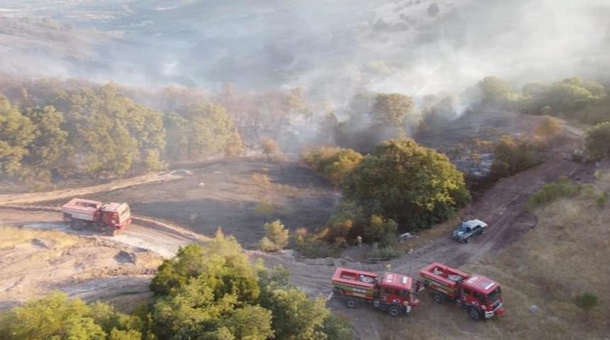 Balıkesir’deki orman yangını kontrol altına alındı