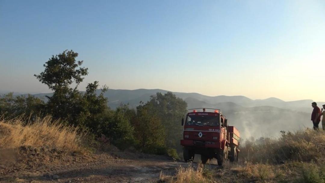 Balıkesir’deki orman yangını kontrol altına alındı 1