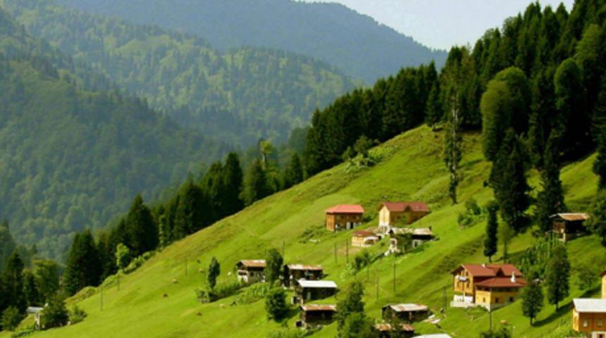 Kurban Bayramı turları (2014)