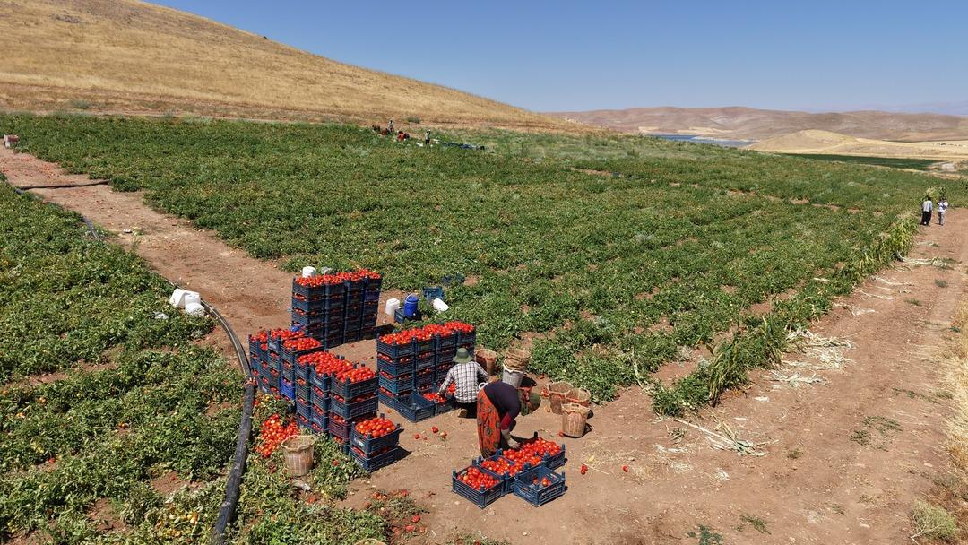  25 TL ye alacağınıza 8 TL ye alın  Vatandaş için orayı işaret etti 2