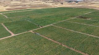 '25 TL'ye alacağınıza 8 TL'ye alın' Vatandaş için orayı işaret etti