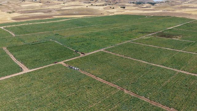 '25 TL'ye alacağınıza 8 TL'ye alın' Vatandaş için orayı işaret etti