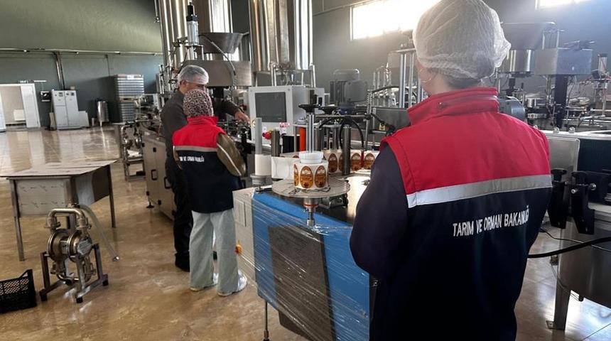 Gıda satışı yapan 254 işyeri denetlendi