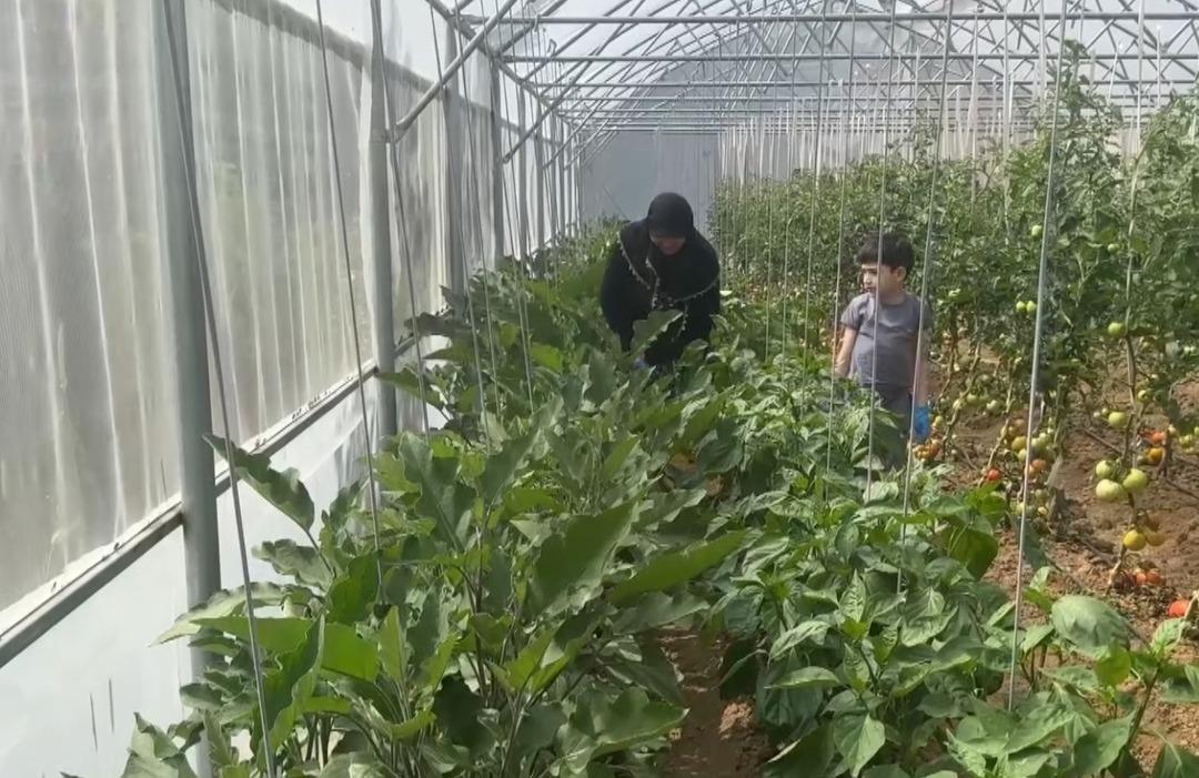  İnternette görüyorduk, herkese tavsiye ederim  Eşi emekli olunca memlekette kurdu 1