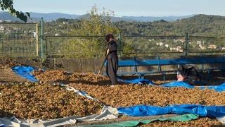 Türkoğlu, Üreticinin emeğini yok saymayın