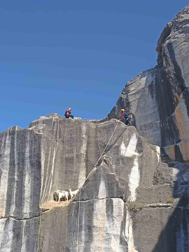 Kütahya’da AFAD’dan keçi kurtarma operasyonu 2