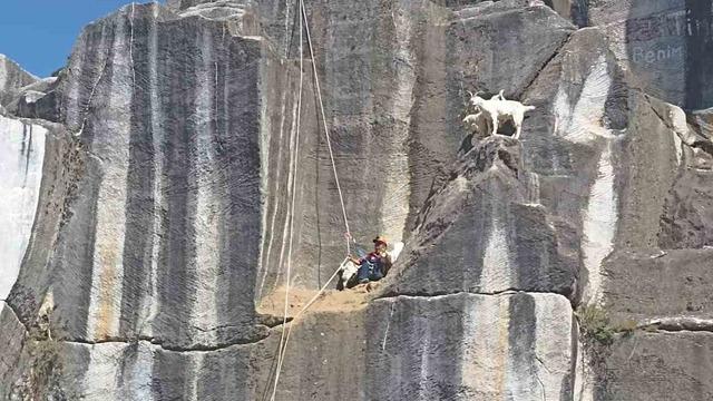 Kütahya’da AFAD’dan keçi kurtarma operasyonu