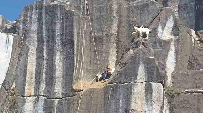 Kütahya’da AFAD’dan keçi kurtarma operasyonu