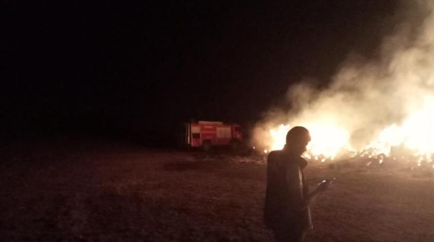 Erzurum’da ot yangını