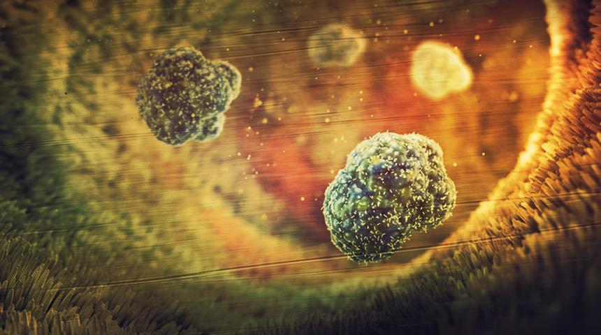 31 ülkede kolera alarmı! 4 bin 738 kişi hayatını kaybetti: Acil müdahale çağrısı yapıldı