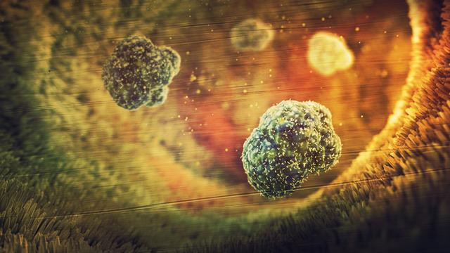 31 ülkede kolera alarmı! 4 bin 738 kişi hayatını kaybetti: Acil müdahale çağrısı yapıldı