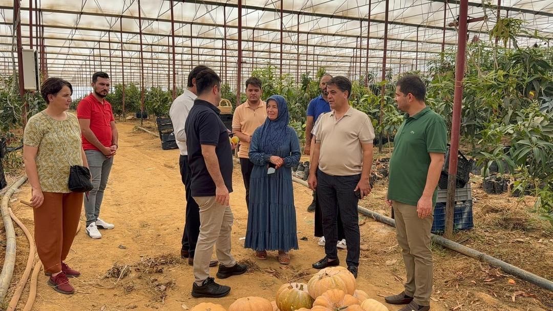 30 yıl önce ilk kez denenmişti! Bugün 300 dönümden fazla alanda üretiliyor 2
