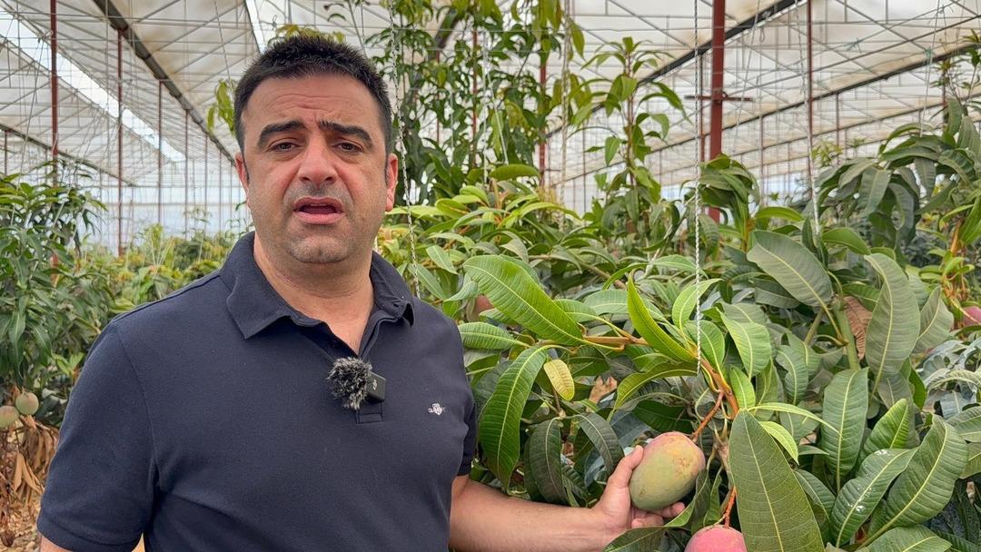 30 yıl önce ilk kez denenmişti! Bugün 300 dönümden fazla alanda üretiliyor 3