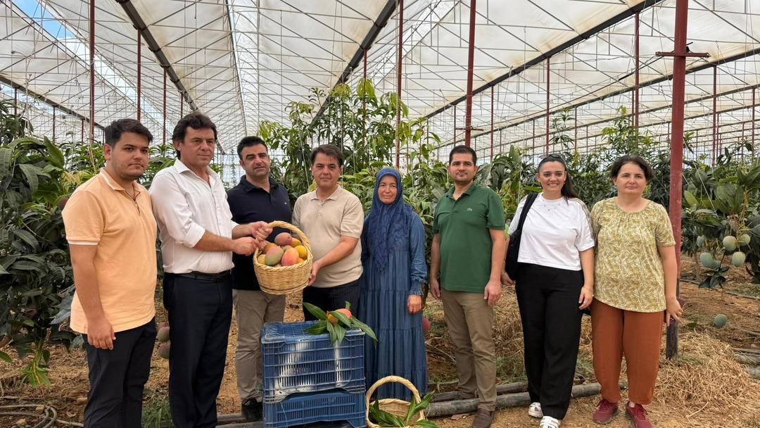 30 yıl önce ilk kez denenmişti! Bugün 300 dönümden fazla alanda üretiliyor 4