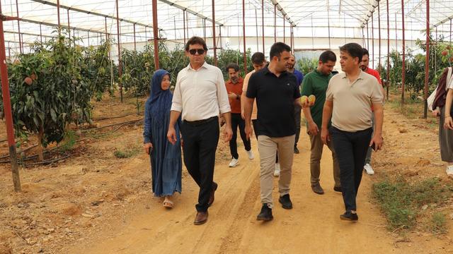 30 yıl önce ilk kez denenmişti! Bugün 300 dönümden fazla alanda üretiliyor