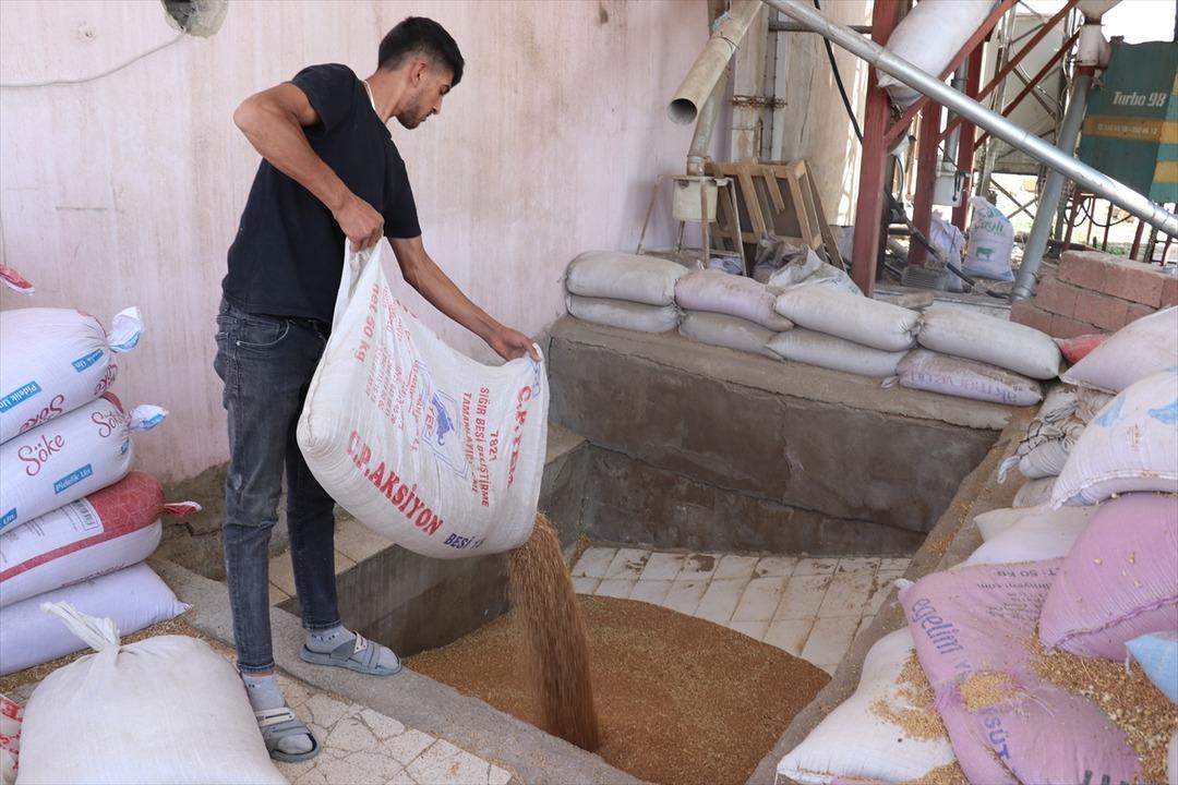 İşi büyütüp fabrikaya dönüştürdü!  Bu meslek seni bırakmaz  Yoğun talep var 2