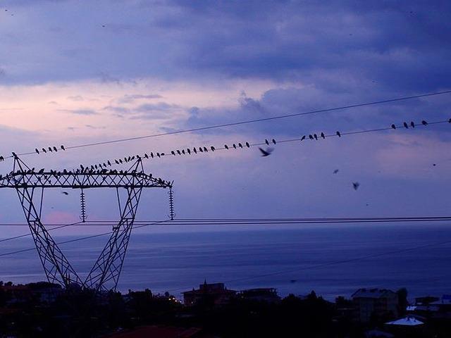 Spot piyasada elektrik fiyatları