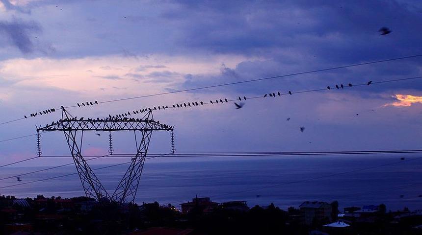 Spot piyasada elektrik fiyatları