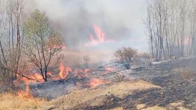 Yozgat'ta peş peşe yangınlar! Halk tedirgin oldu