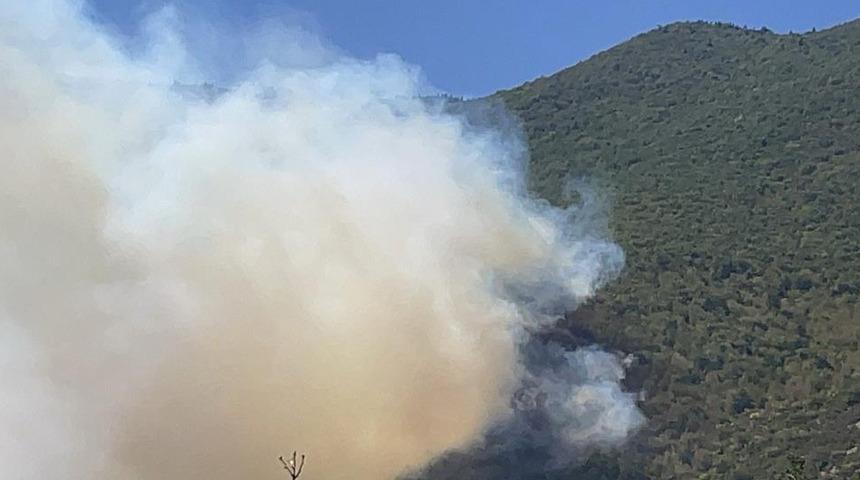 Bartın'da orman yangını çıktı