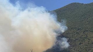 Bartın'da orman yangını çıktı