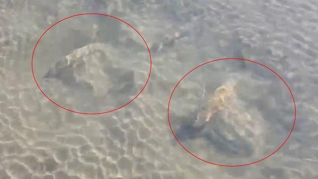 Yer: Bursa... Şiddetli kuraklık sonucu sular çekilince gün yüzüne çıktı!