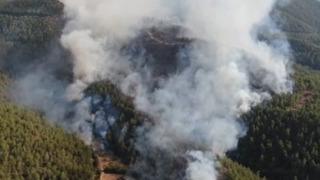 Köye sıçrayan orman yangını böyle görüntülendi