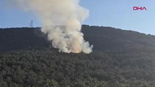 Ataşehir'de ormanlık alanda yangın! Ekipler müdahale ediyor