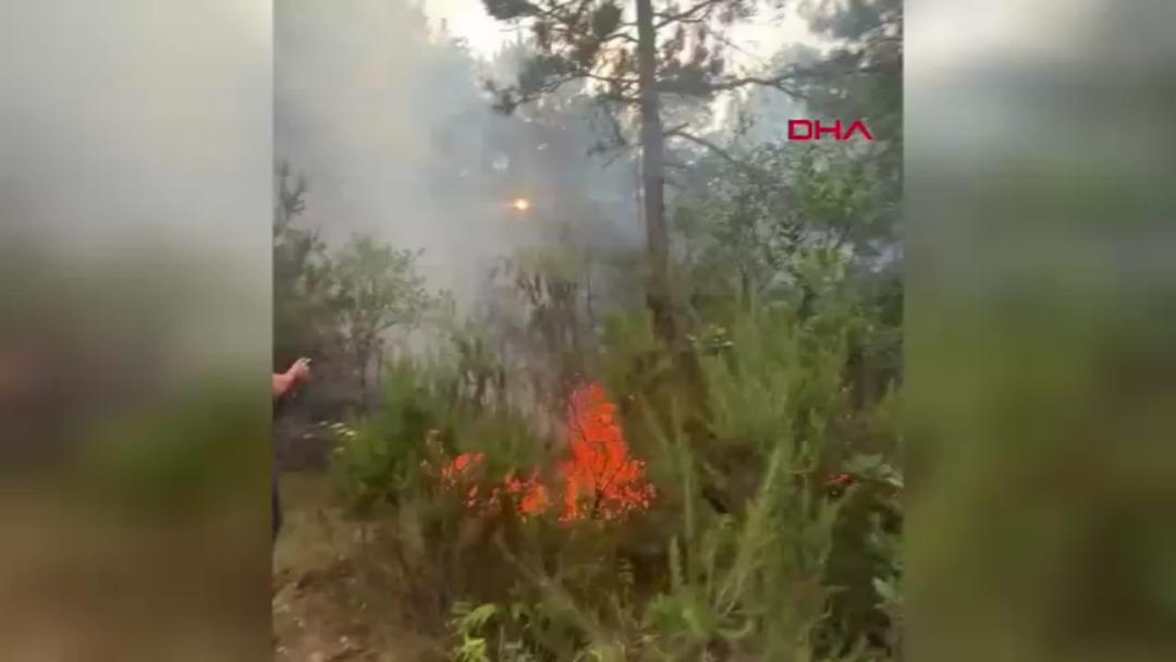 Ataşehir de ormanlık alanda yangın! Ekipler müdahale ediyor 1