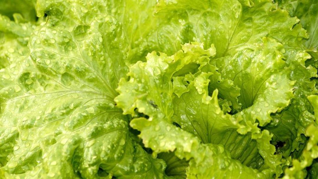 Mutfakta hayatı kolaylaştıran pratik zeka hileleri: Mutfakta zaman kazandıran 7 hile önerisi… 6