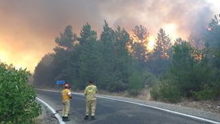 Kastamonu'da iki orman yangını birden! Altı köy tahliye edildi, Bakan Yumaklı'dan açıklama geldi