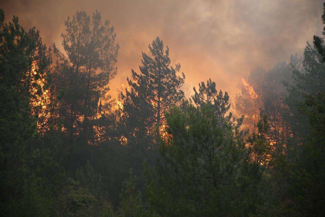 Kastamonu da iki orman yangını birden! Altı köy tahliye edildi, Bakan Yumaklı dan açıklama geldi 2